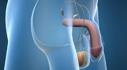 ¿Existe algún tratamiento rehabilitador para la disfunción eréctil tras un cáncer de próstata?