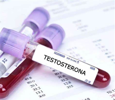La testosterona como solución contra la obesidad